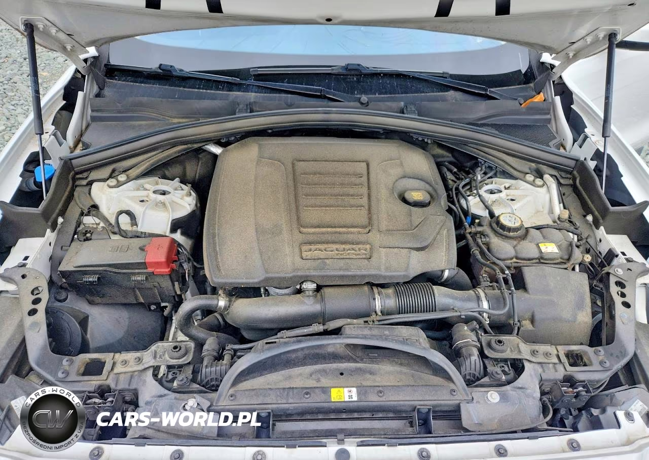 2019 Jaguar F-Pace Prestige VIN:SADCK2GX8KA393219 - 12