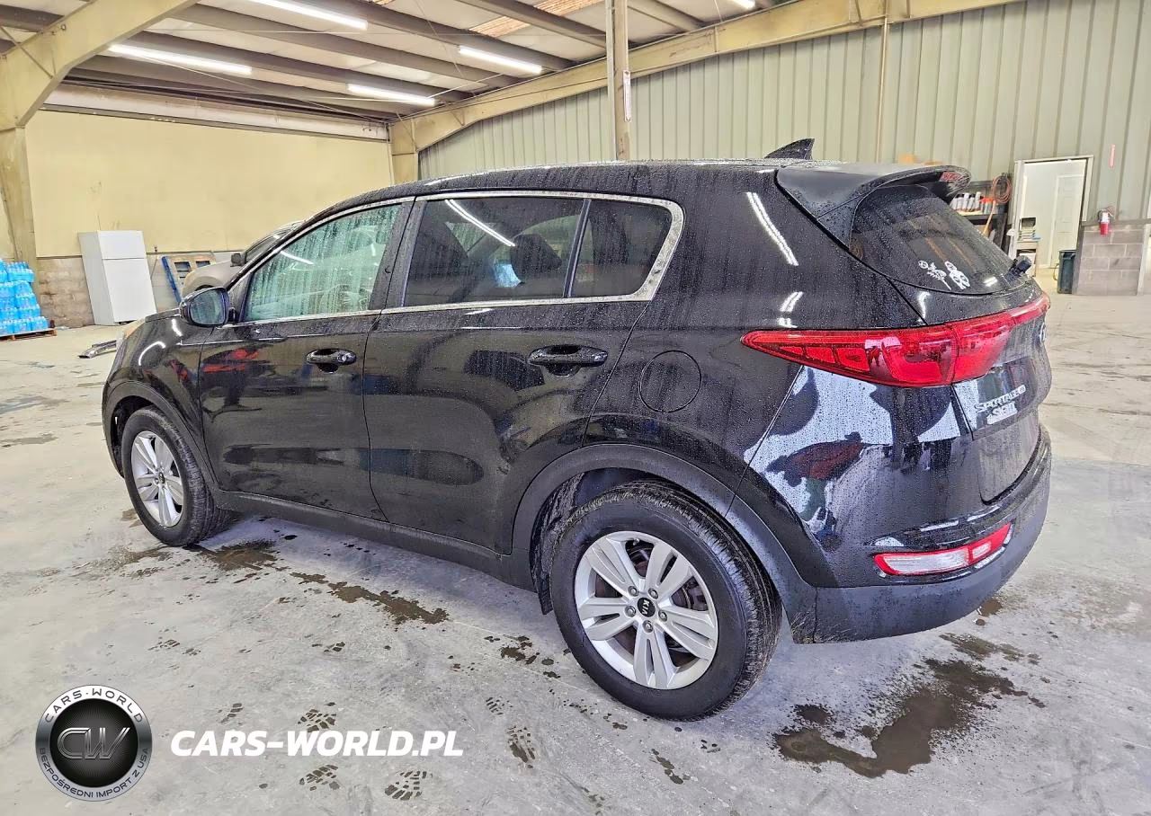 2019 Kia Sportage Lx VIN:KNDPM3AC3K7556391 - 2