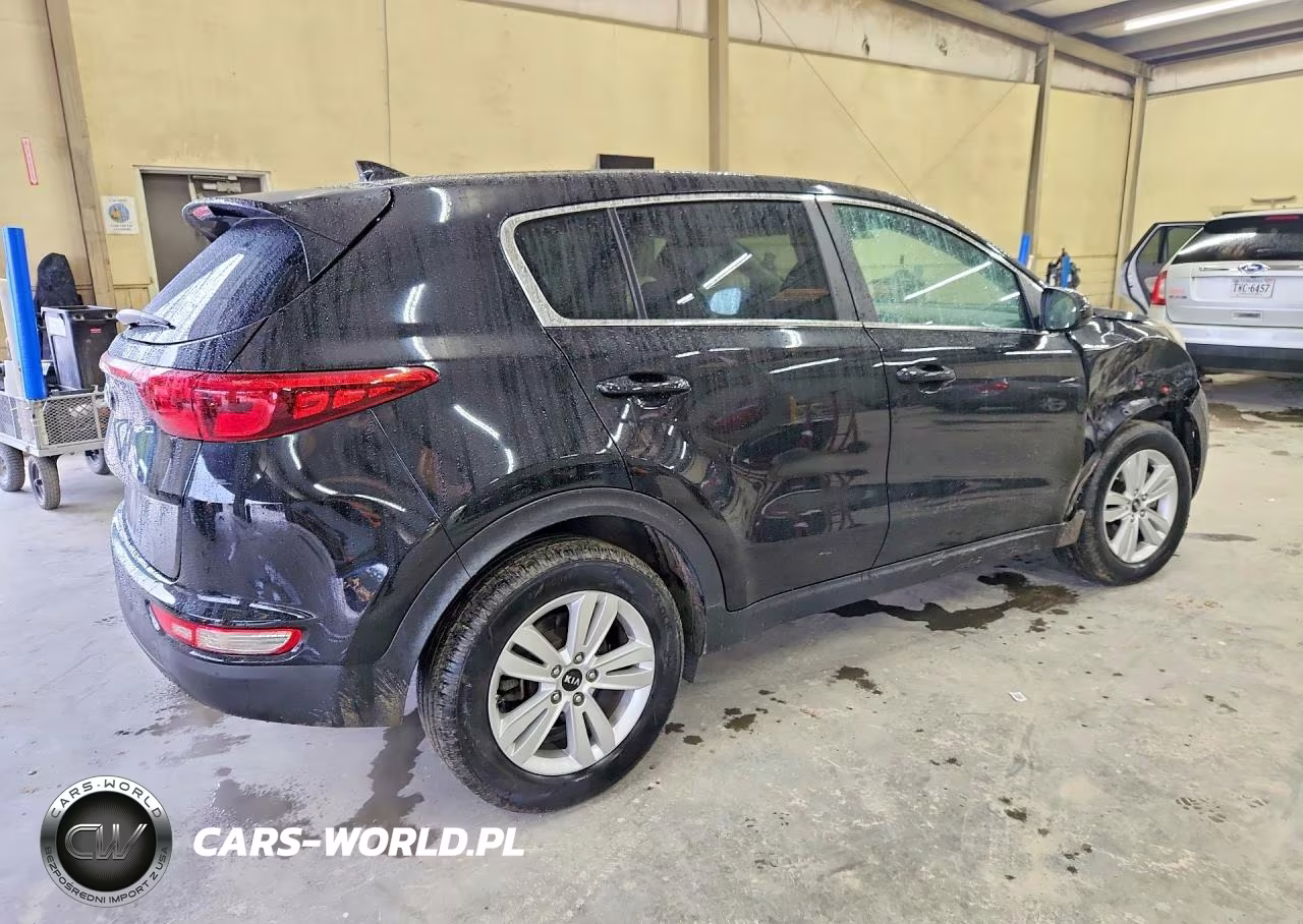 2019 Kia Sportage Lx VIN:KNDPM3AC3K7556391 - 3