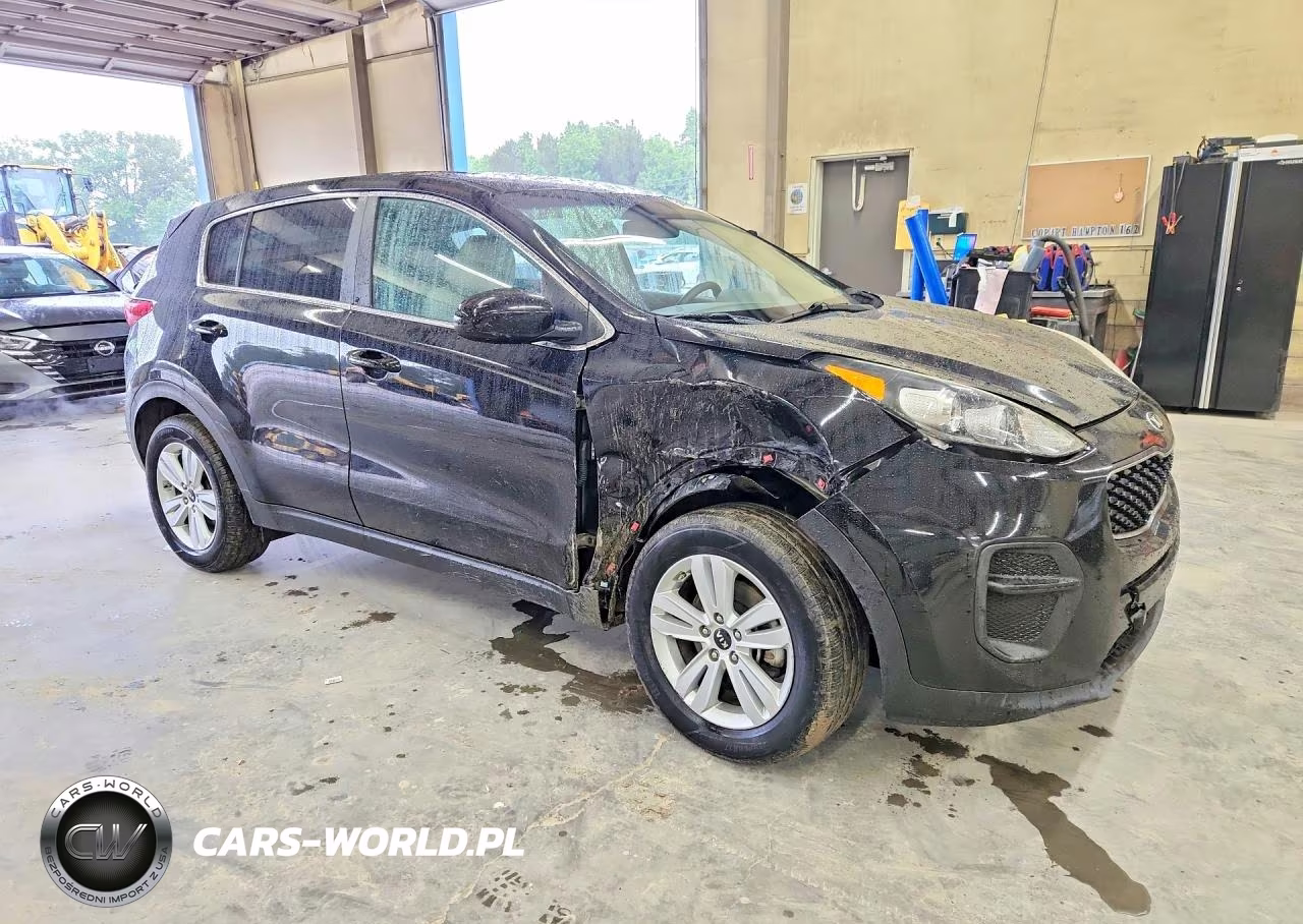 2019 Kia Sportage Lx VIN:KNDPM3AC3K7556391 - 4