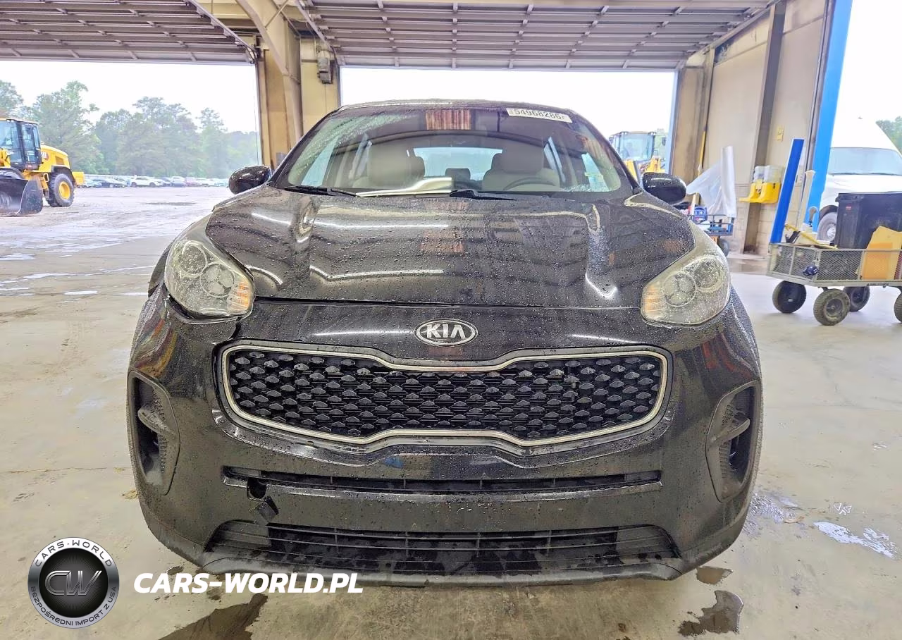 2019 Kia Sportage Lx VIN:KNDPM3AC3K7556391 - 5
