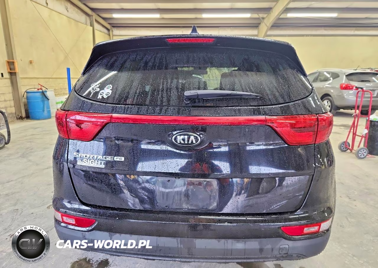 2019 Kia Sportage Lx VIN:KNDPM3AC3K7556391 - 6
