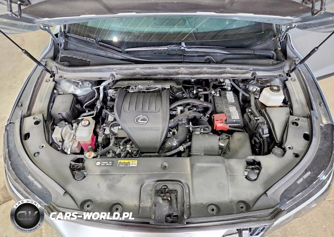 2023 Lexus Rx 350 Premium VIN:2T2BAMCA9PC023788 - 12