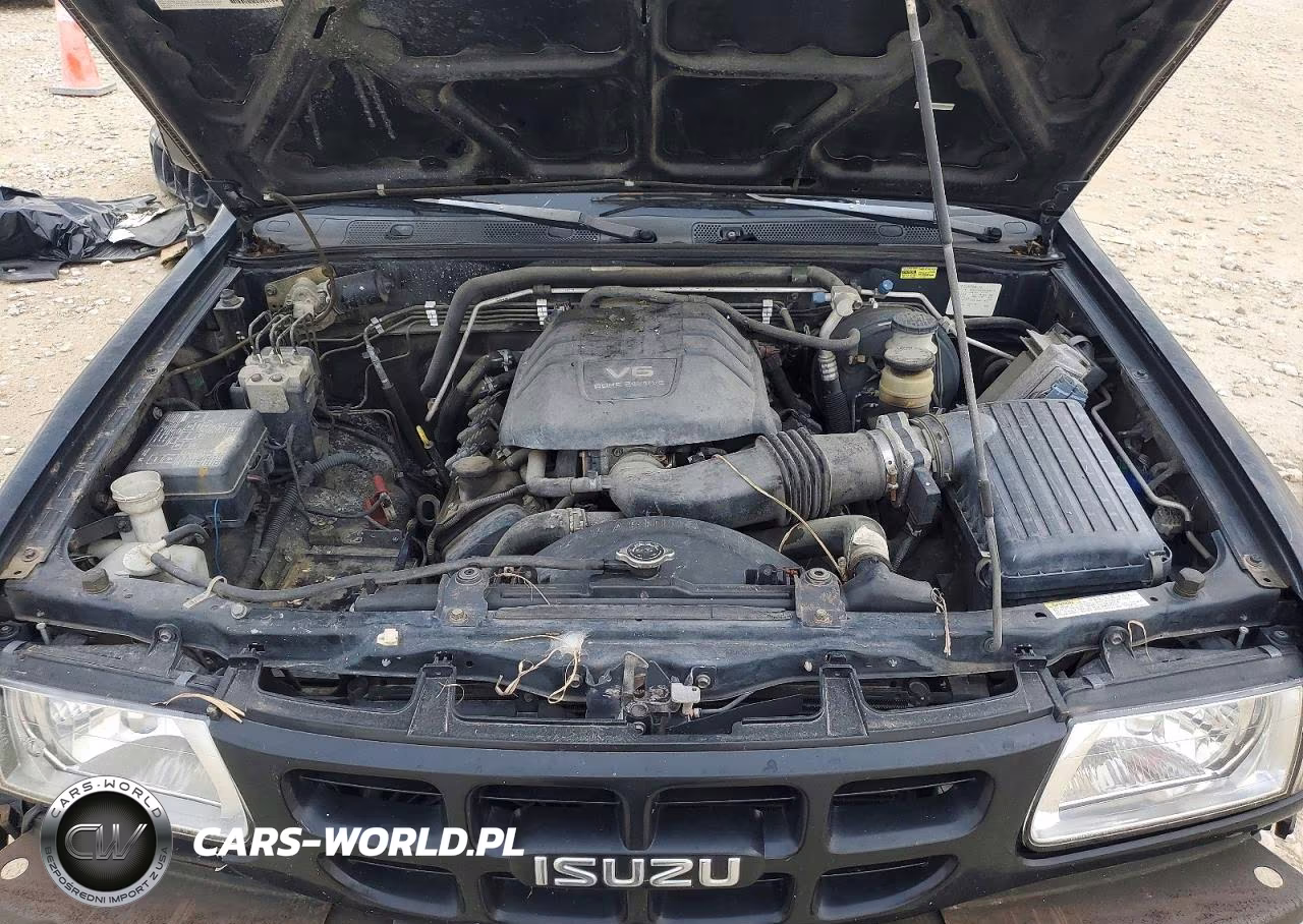 2002 Isuzu Rodeo S VIN:4S2CK58W924333410 - 12