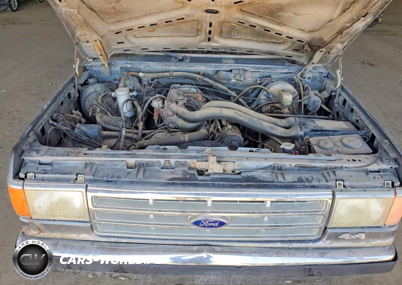1988 Ford Bronco U100 VIN:1FMEU15N3JLA24129 - 11