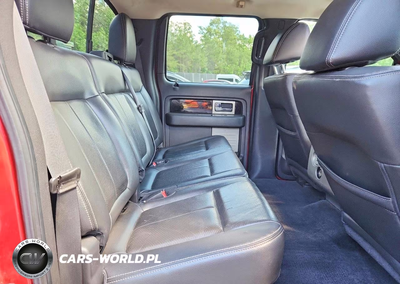 2010 Ford F150 Supercrew VIN:1FTFW1EV4AFB45513 - 10