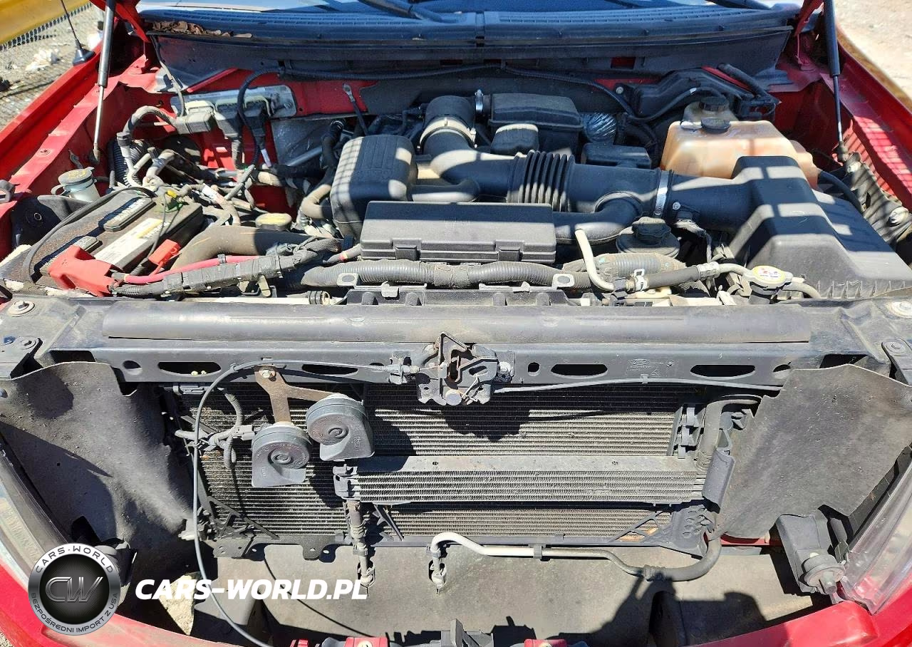 2010 Ford F150 Supercrew VIN:1FTFW1EV4AFB45513 - 11