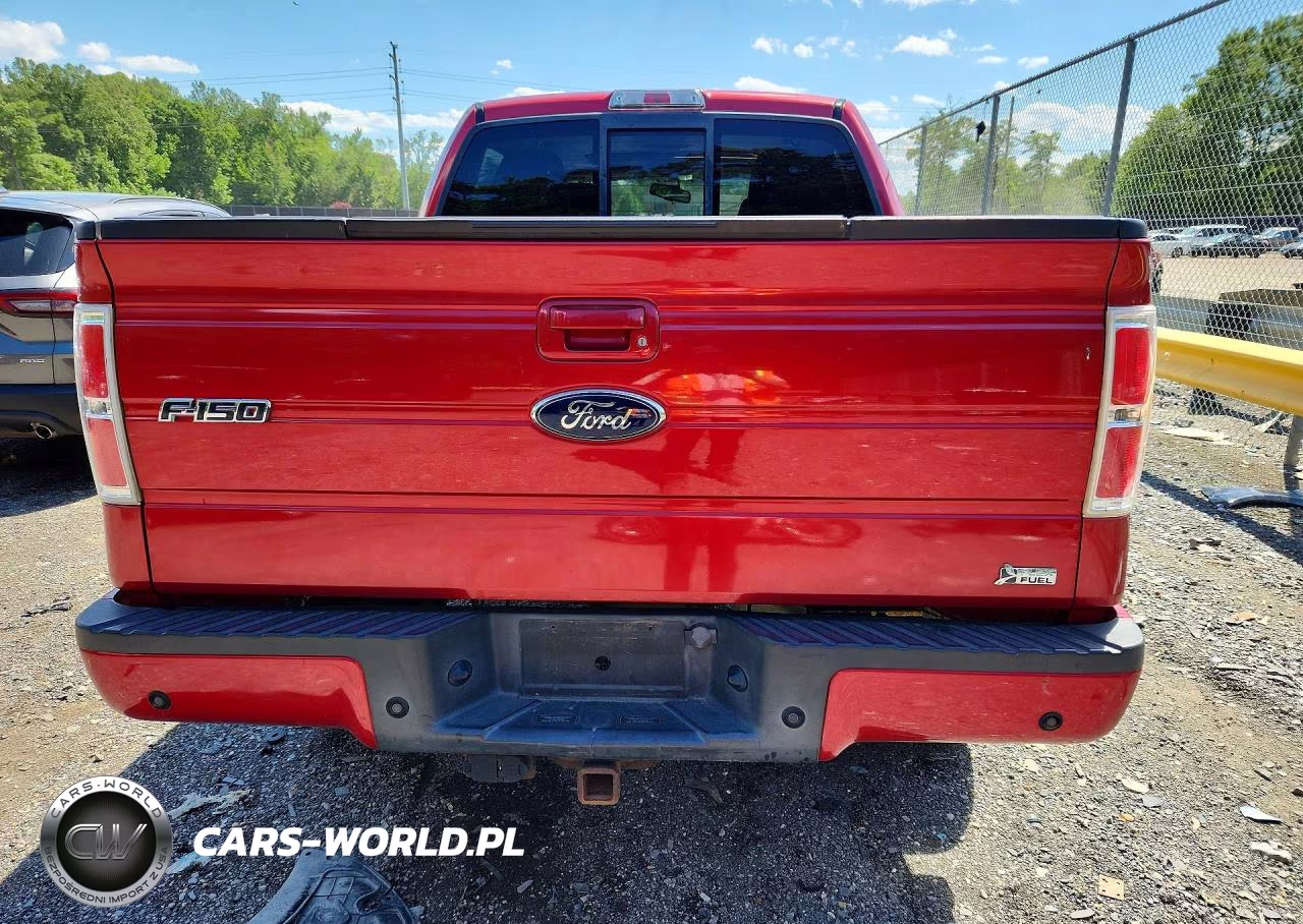 2010 Ford F150 Supercrew VIN:1FTFW1EV4AFB45513 - 6