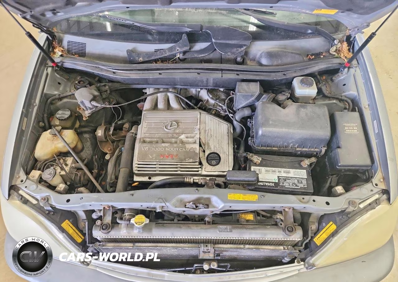 2002 Lexus Rx 300 VIN:JTJHF10U920268295 - 12