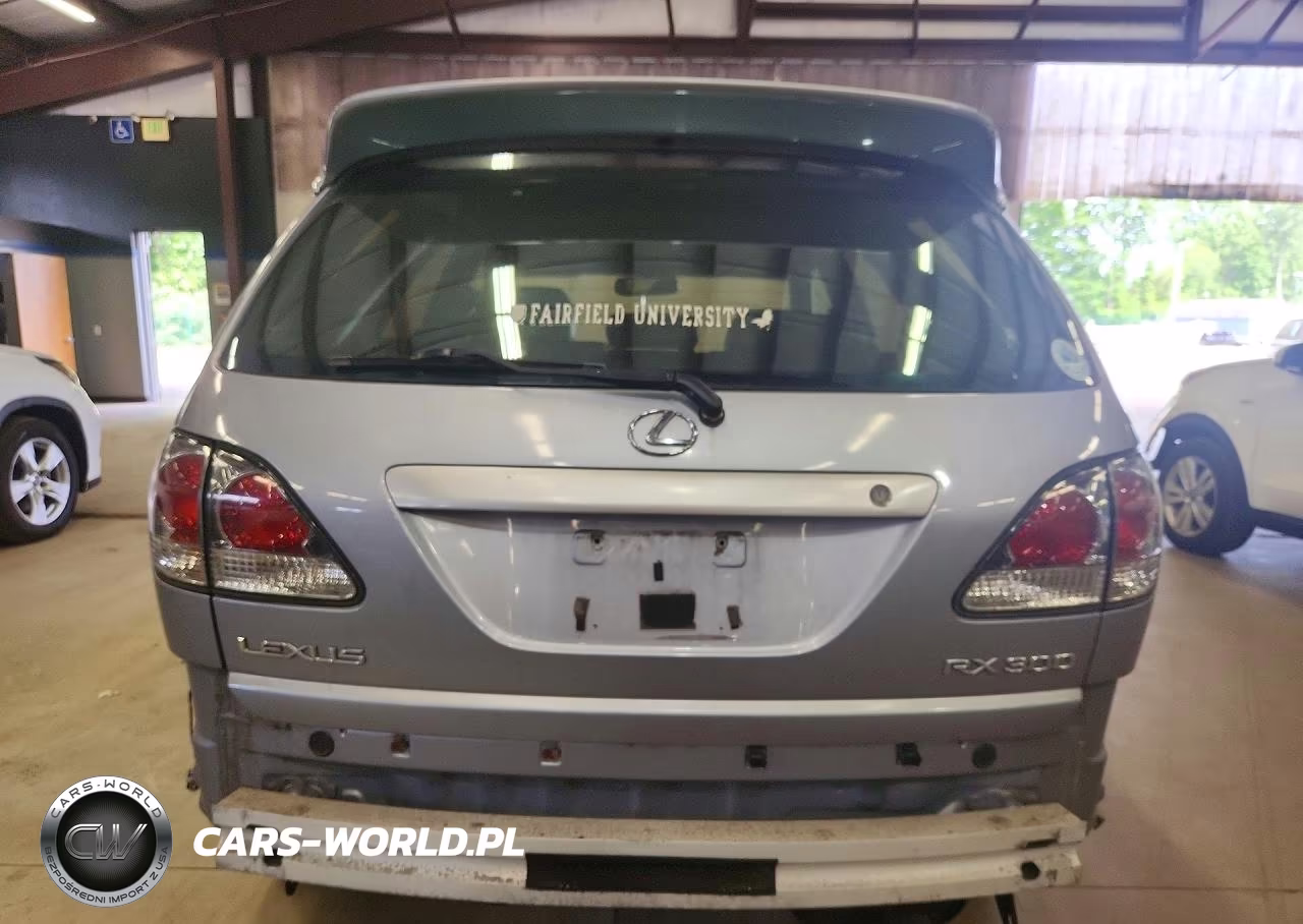 2002 Lexus Rx 300 VIN:JTJHF10U920268295 - 6