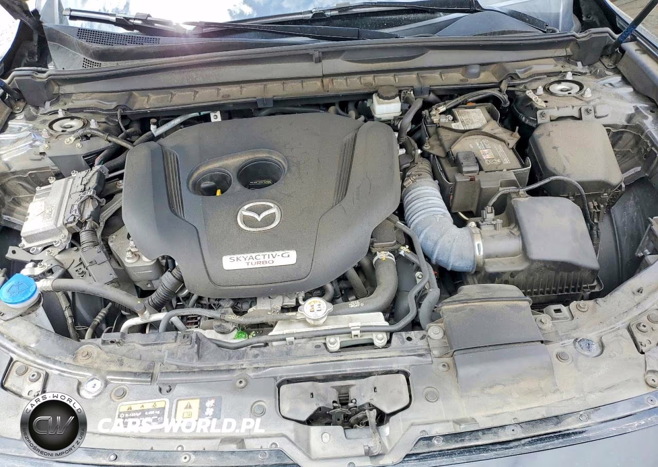 2023 Mazda Cx-50 Premium VIN:7MMVABDY3PN142905 - 12