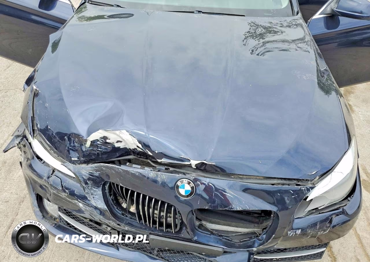 2011 BMW 535 Xi VIN:WBAFU7C59BC781145 - 11
