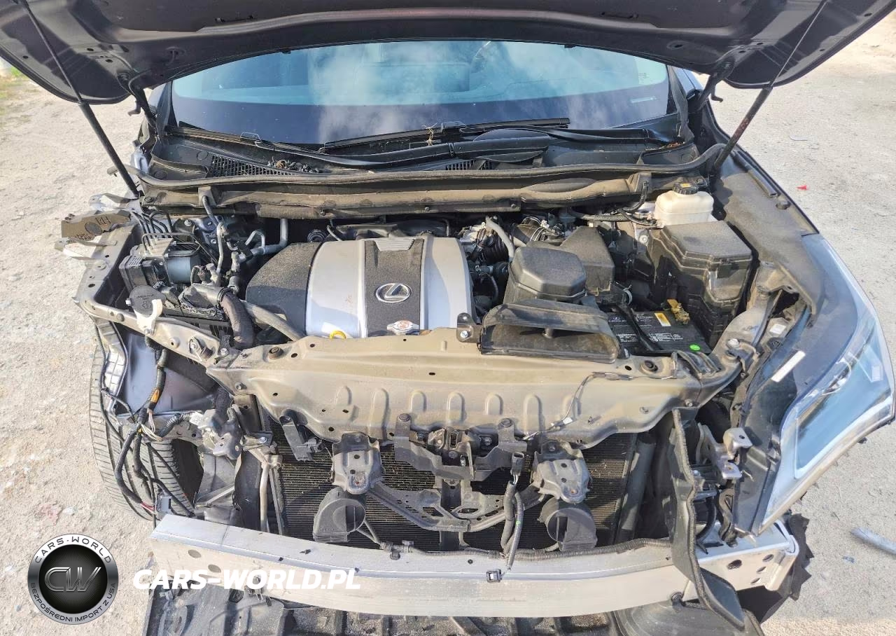 2019 Lexus Rx 350 Base VIN:2T2BZMCAXKC178819 - 12