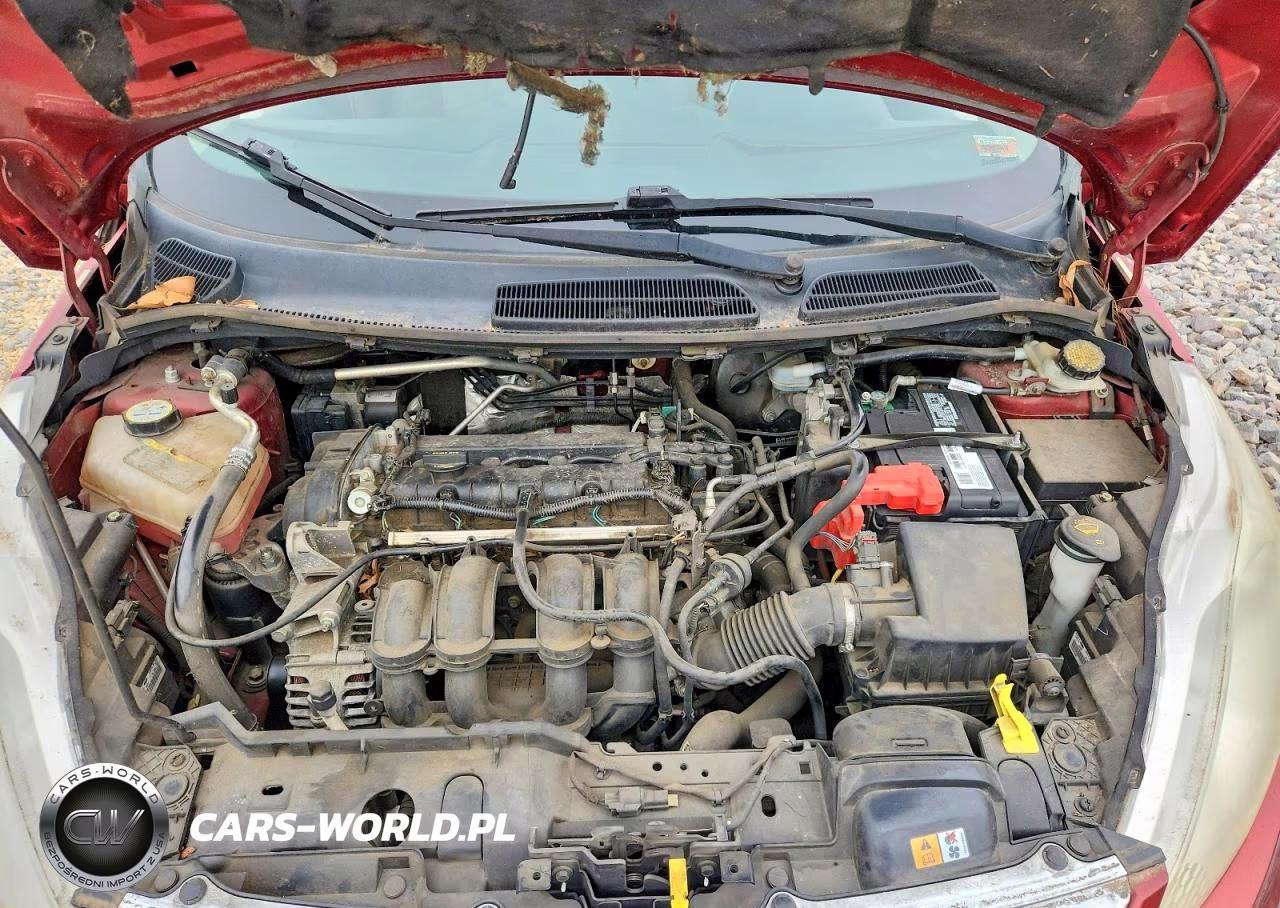 2013 Ford Fiesta Se VIN:3FADP4BJ9DM183319 - 11