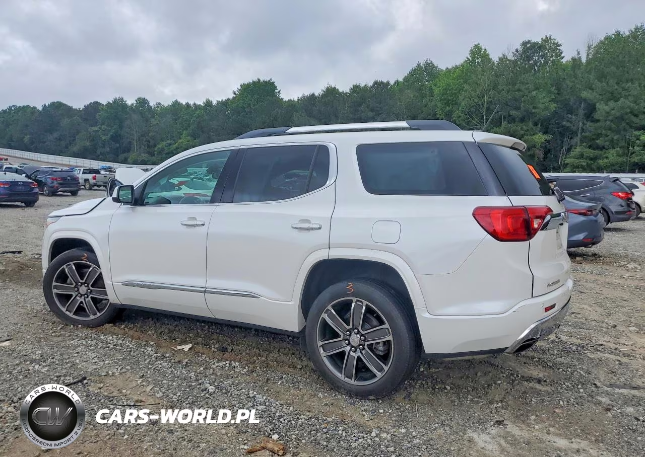 2019 GMC Acadia Denali VIN:1GKKNPLS9KZ150336 - 2