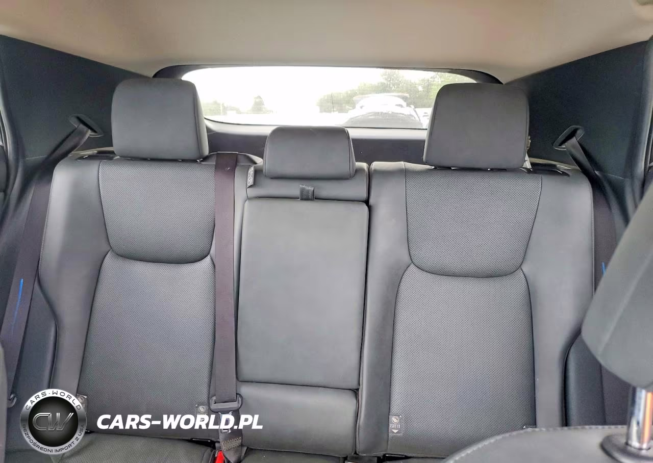 2023 Lexus Rz 450E VIN:JTJAAAAB3PA005962 - 10