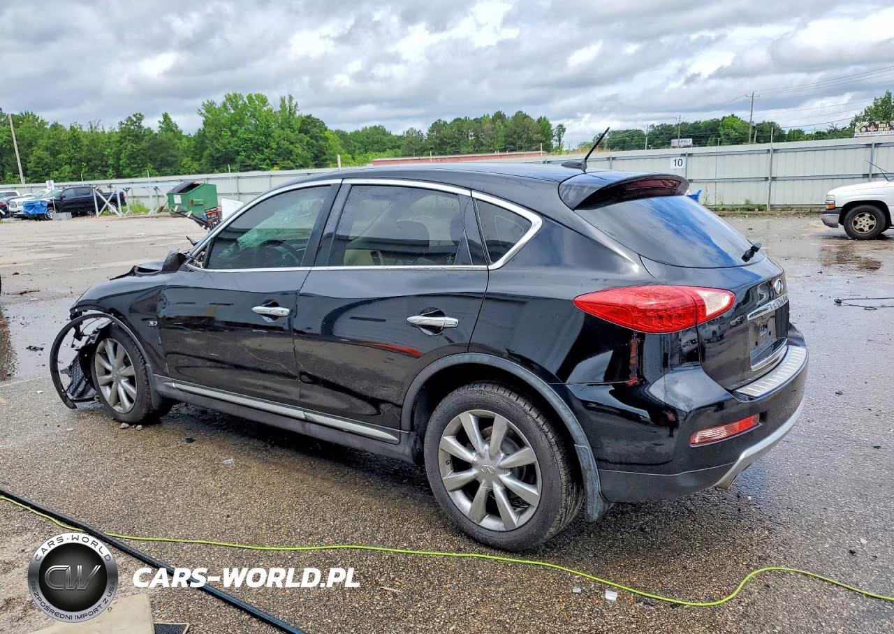 2017 Infiniti Qx50 VIN:JN1BJ0RP9HM386172 - 2
