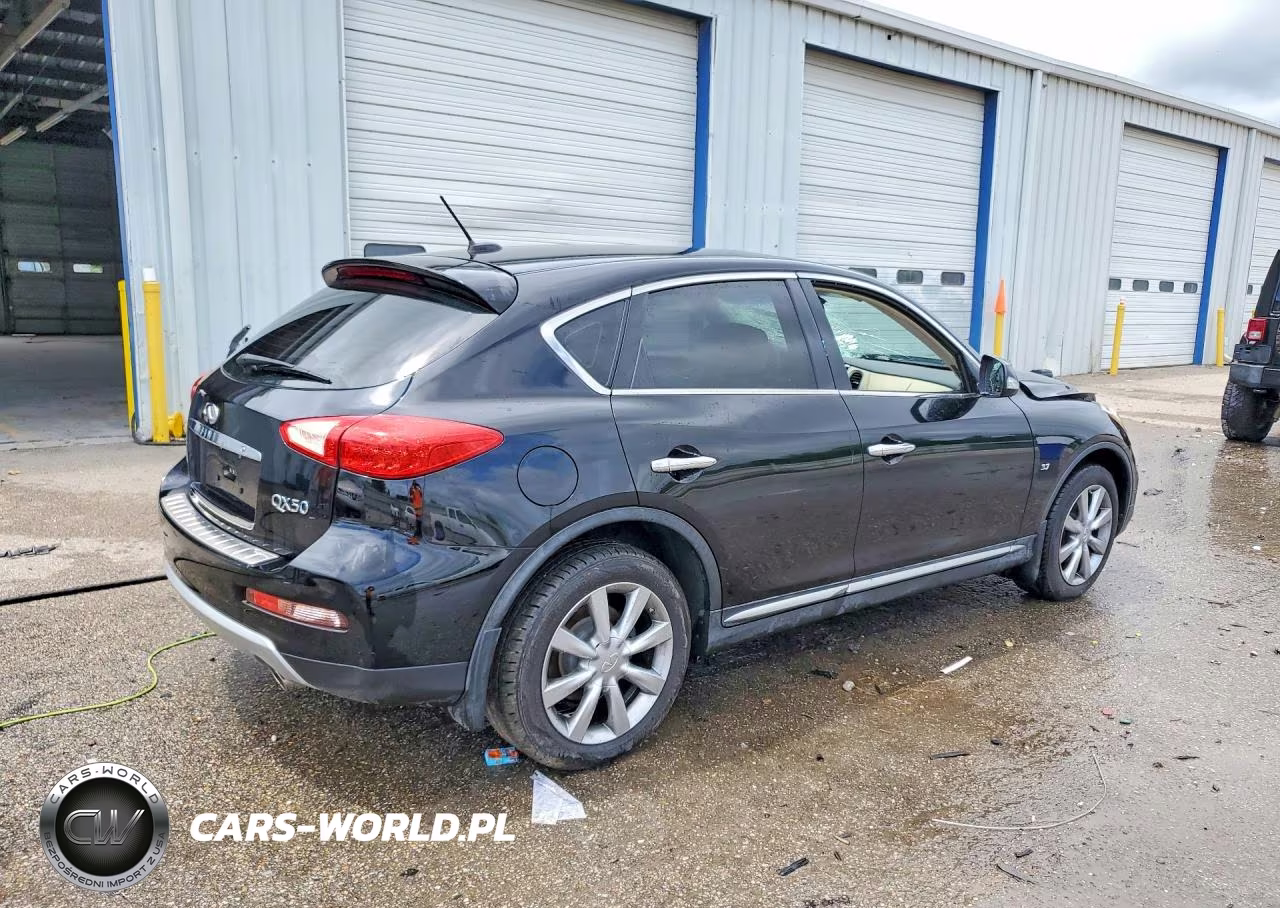 2017 Infiniti Qx50 VIN:JN1BJ0RP9HM386172 - 3