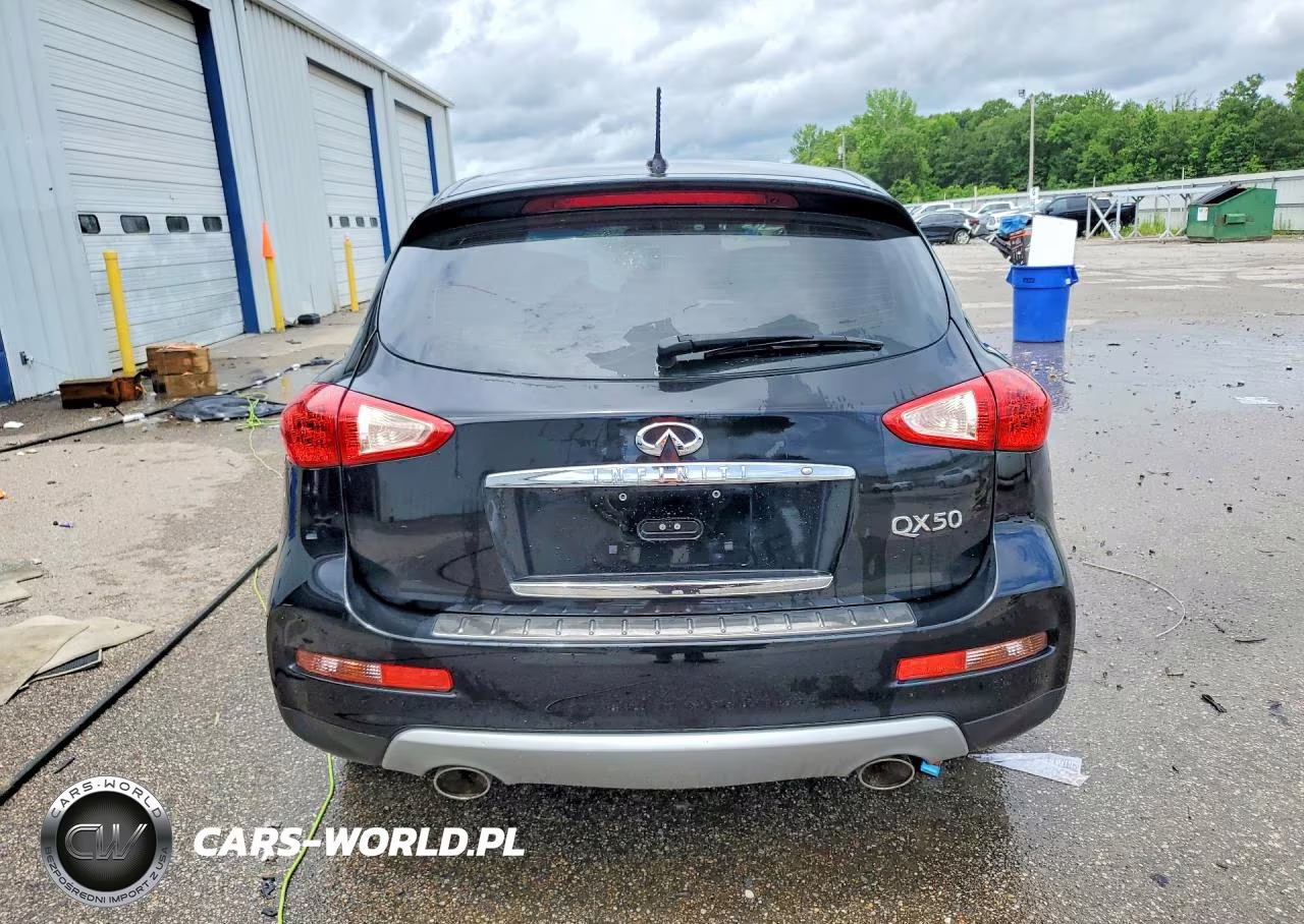 2017 Infiniti Qx50 VIN:JN1BJ0RP9HM386172 - 6
