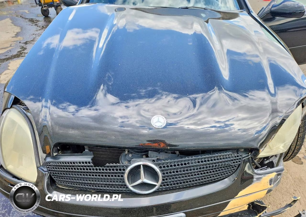 1998 Mercedes-Benz Slk 230 Kompressor VIN:WDBKK47F0WF063771 - 11