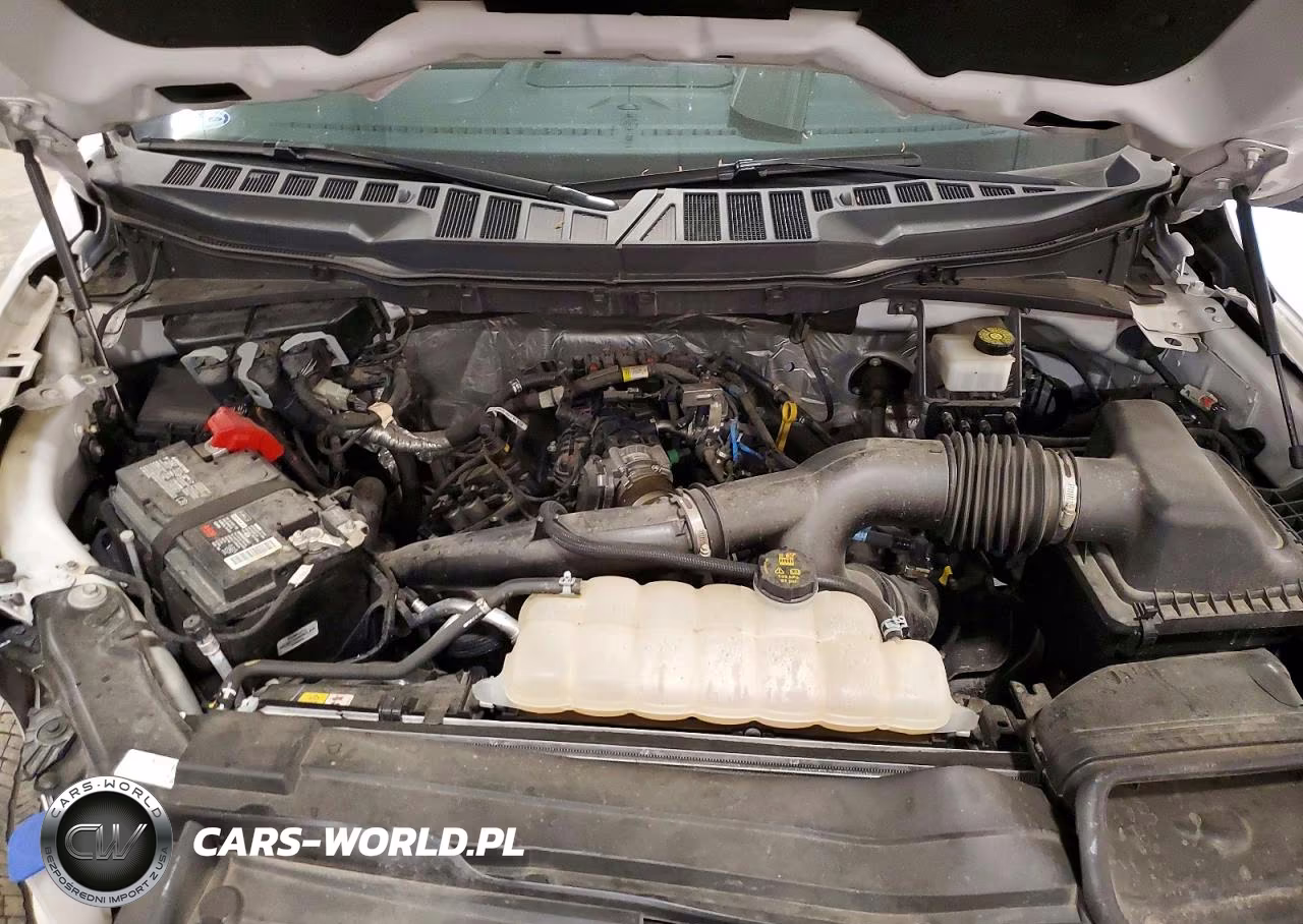 2021 Ford F150 Supercrew VIN:1FTEW1EP7MKD17008 - 11