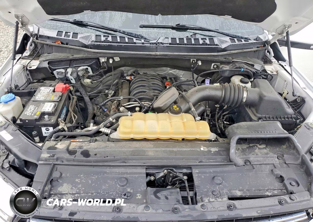 2020 Ford F150 Supercrew VIN:1FTEW1E51LFA23903 - 11