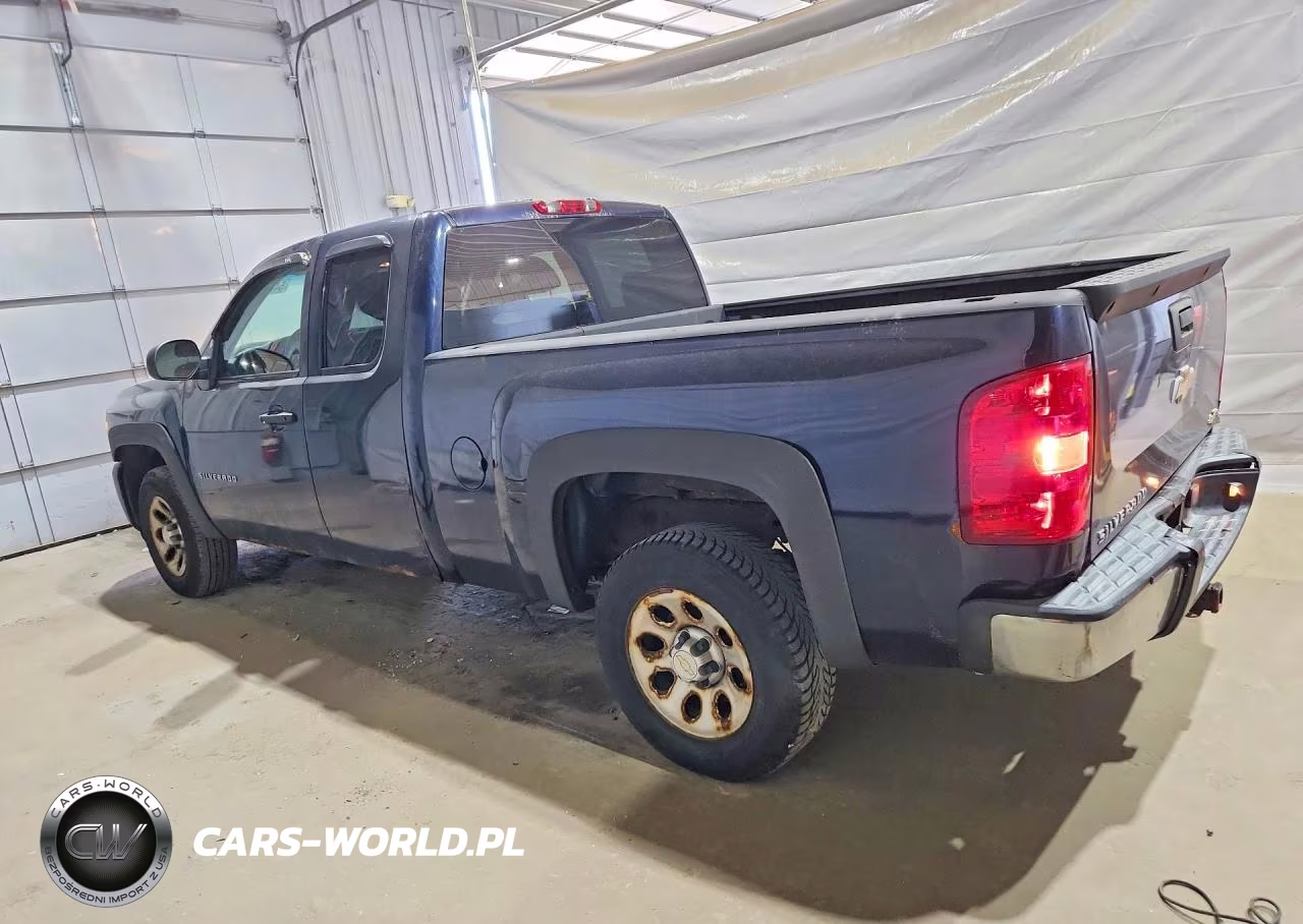 2010 Chevrolet Silverado C1500 VIN:1GCSCPEXXAZ199117 - 2