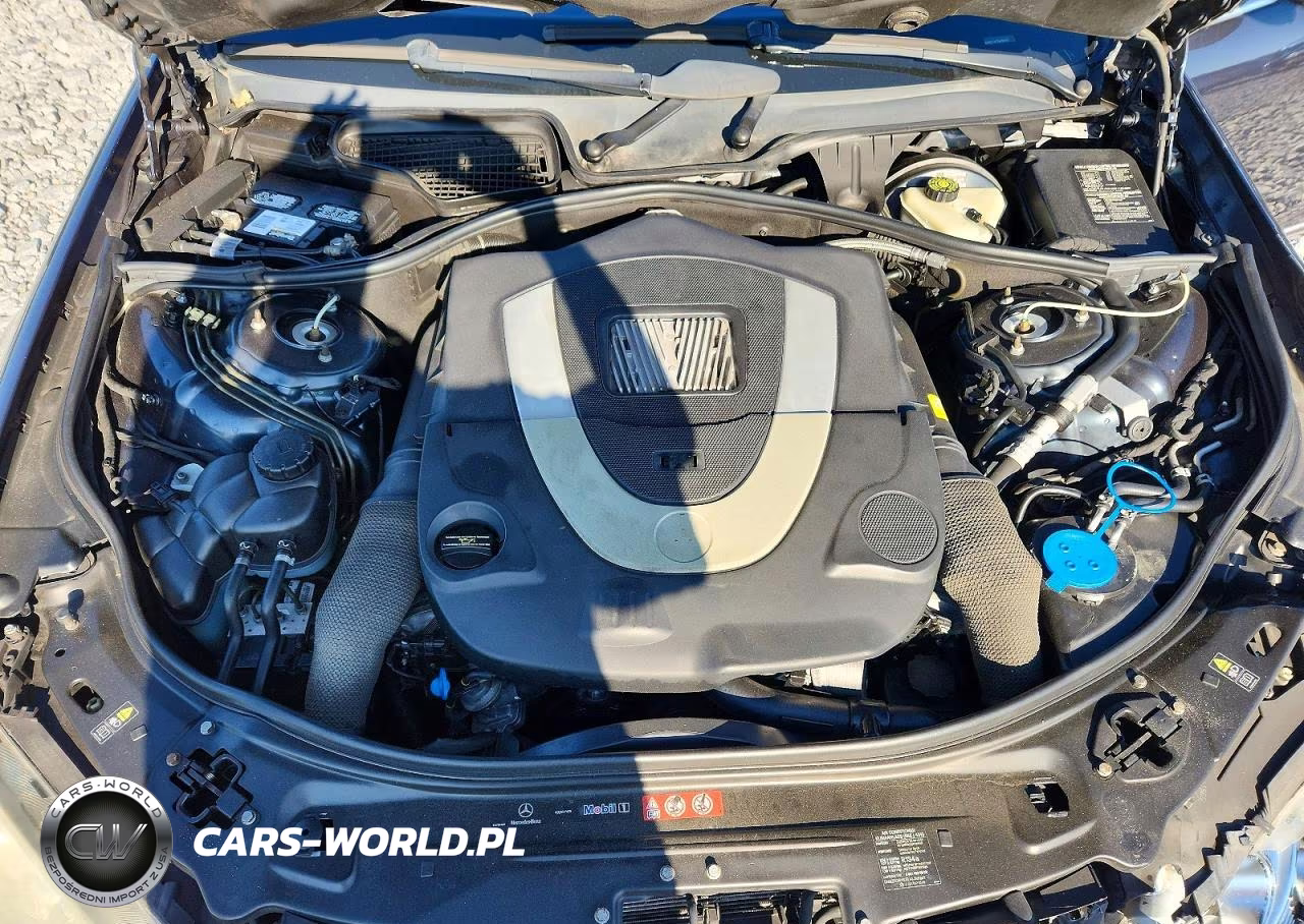 2007 Mercedes-Benz S 550 VIN:WDDNG71X77A089047 - 11