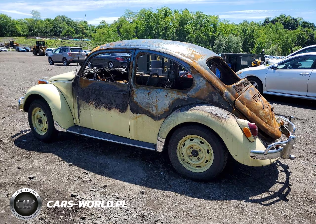 1970 Volkswagen Beetle VIN:1102581673 - 2