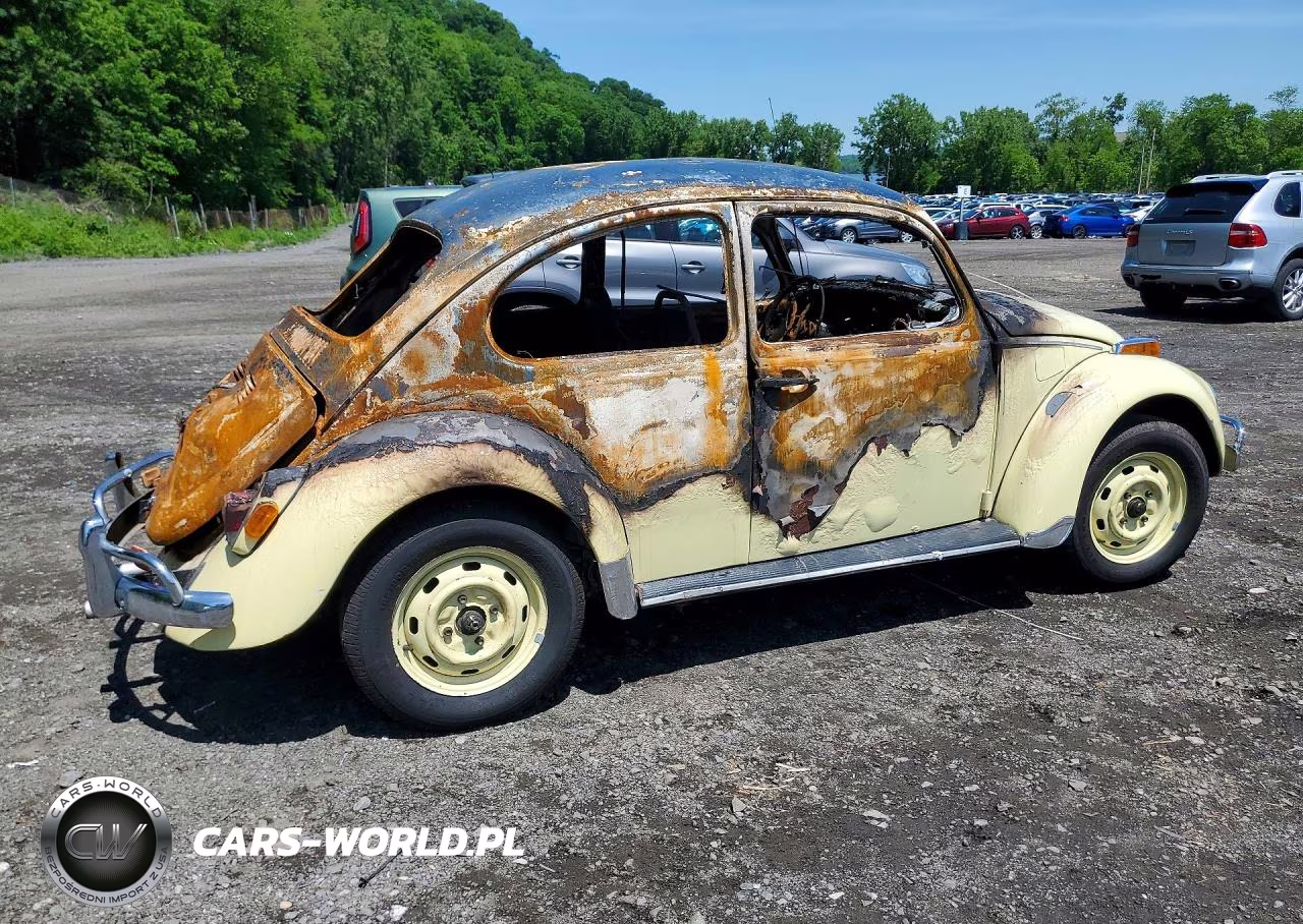 1970 Volkswagen Beetle VIN:1102581673 - 3