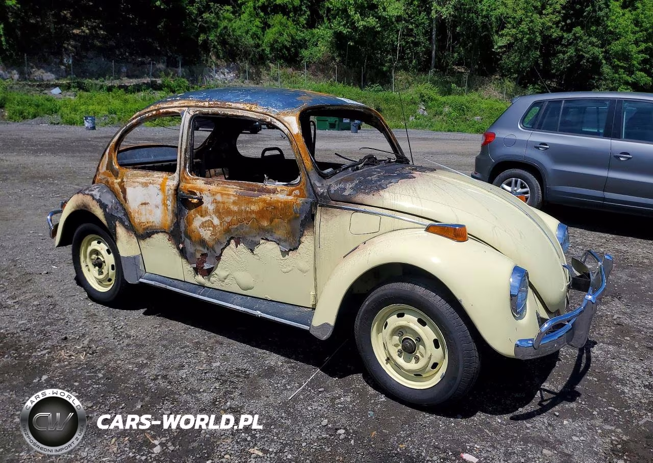 1970 Volkswagen Beetle VIN:1102581673 - 4