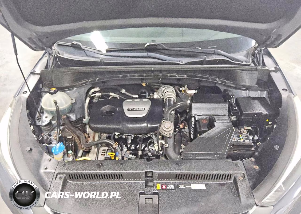 2017 Hyundai Tucson Eco VIN:KM8J3CA20HU495085 - 12