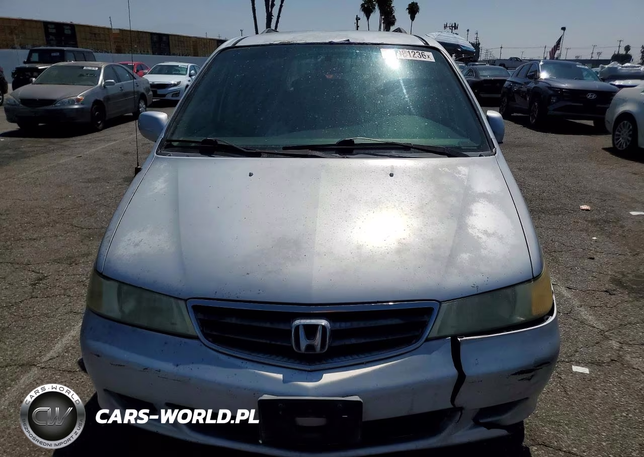 2004 Honda Odyssey Exl VIN:5FNRL18974B022933 - 5