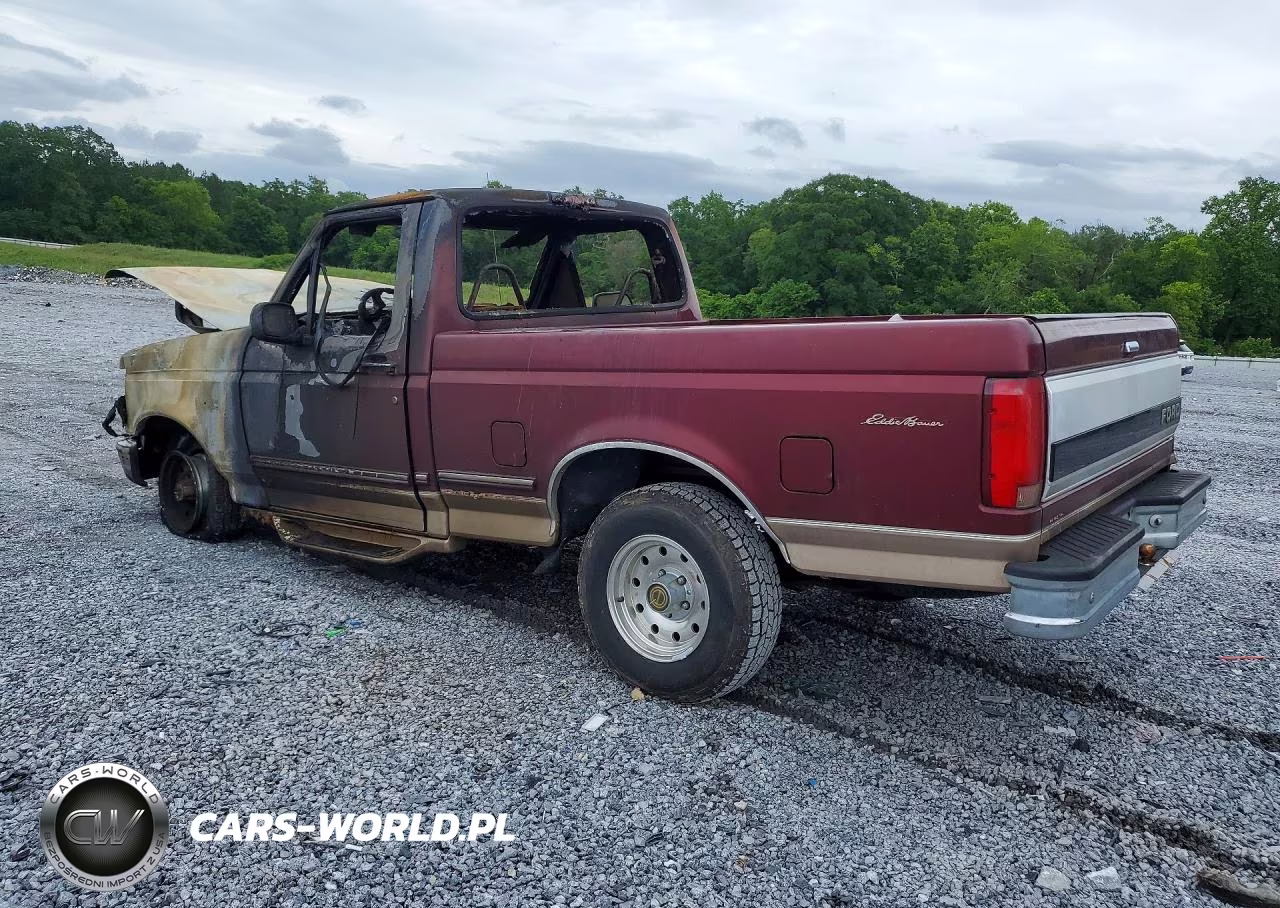 1996 Ford F150 VIN:1FTEF15N0TNA17208 - 2