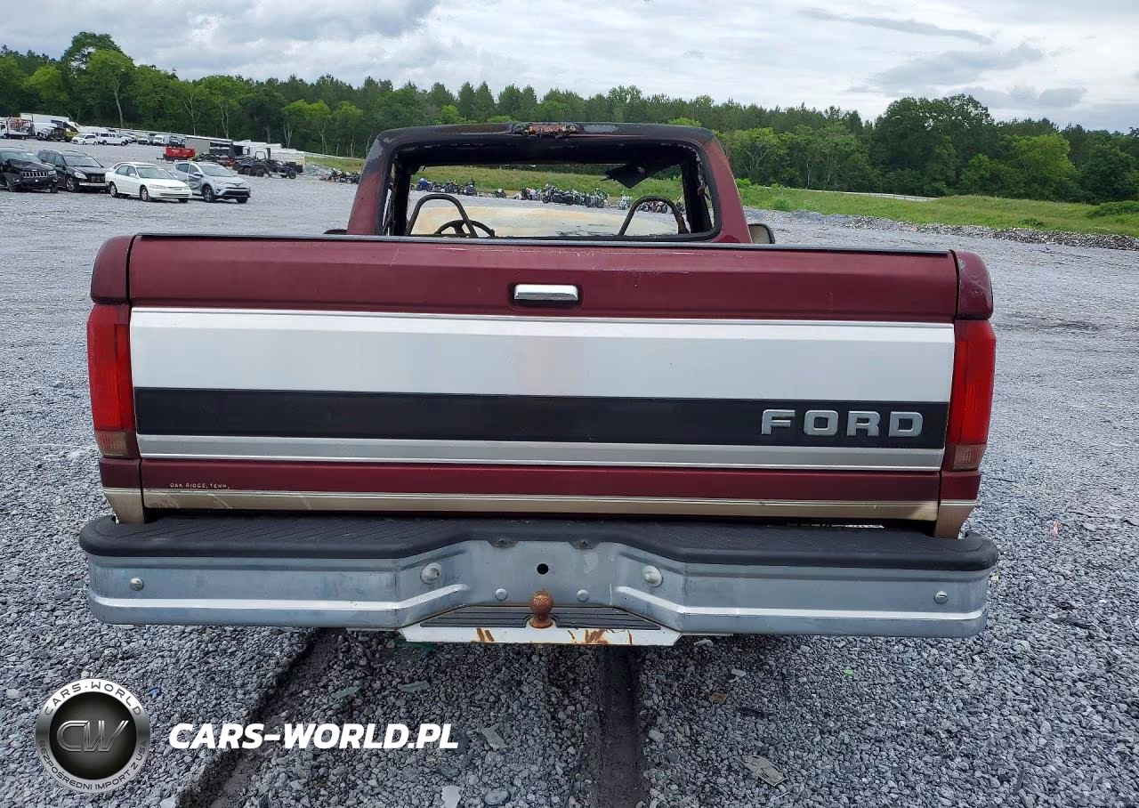 1996 Ford F150 VIN:1FTEF15N0TNA17208 - 6
