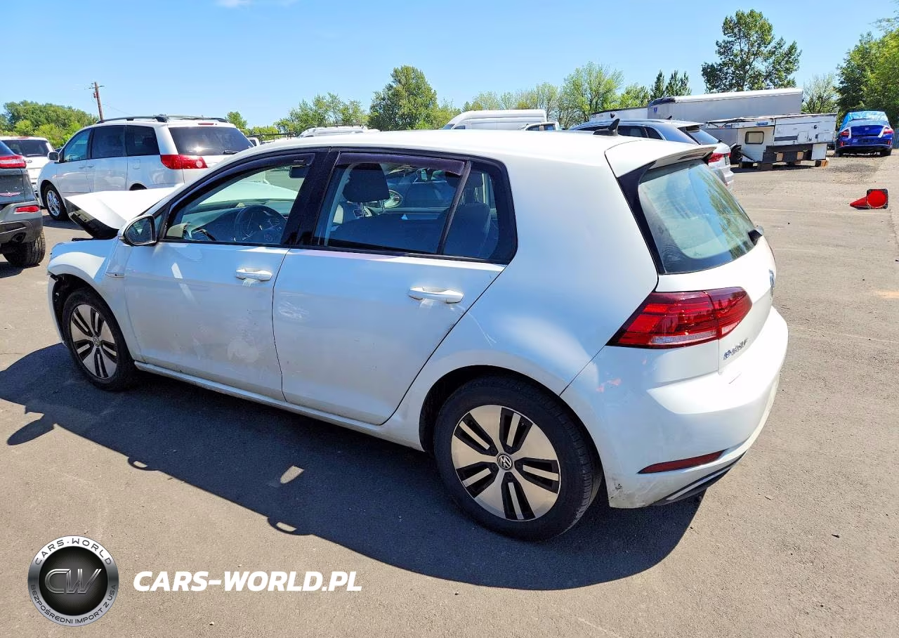 2019 Volkswagen E-Golf Se VIN:WVWKR7AU4KW915796 - 2