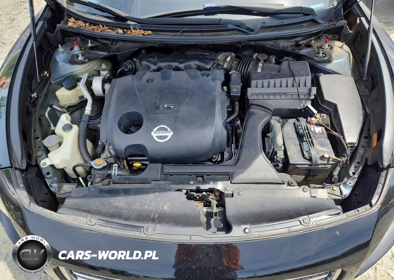 2010 Nissan Maxima 3.5 S VIN:1N4AA5AP9AC803048 - 11