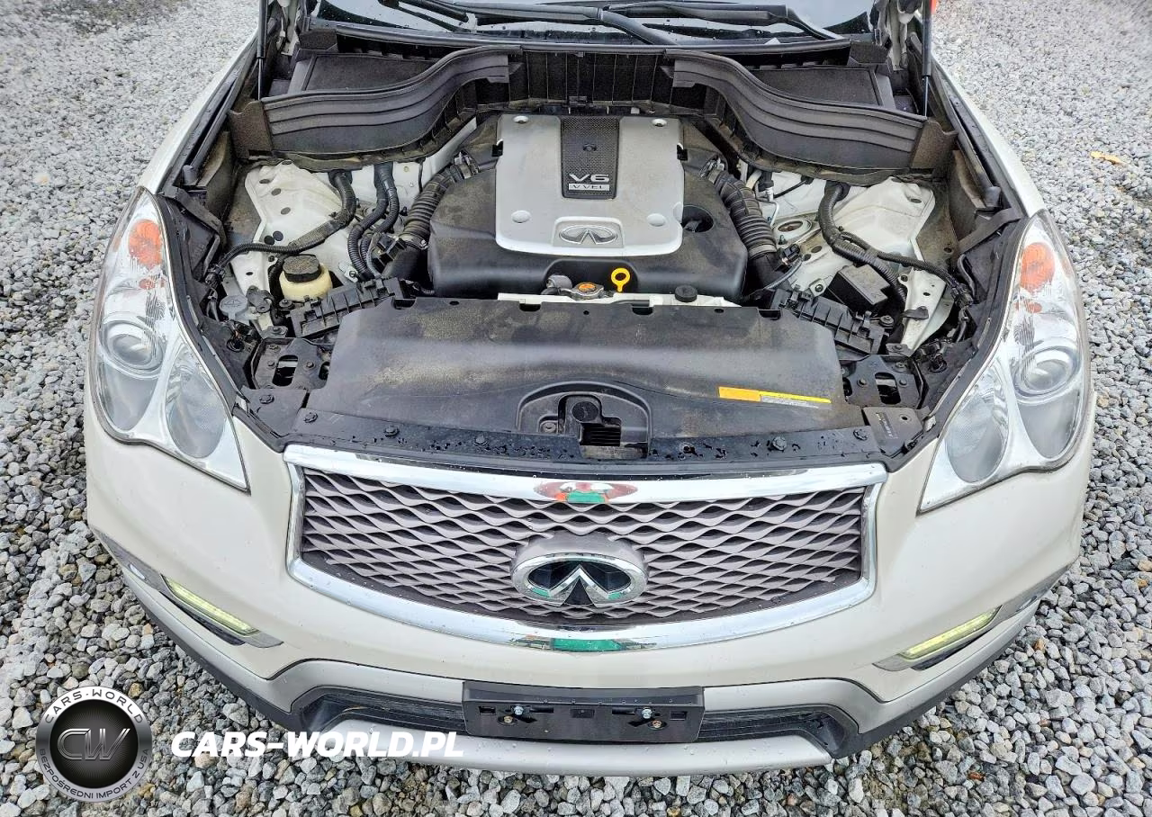2017 Infiniti Qx50 Base VIN:JN1BJ0RP3HM381923 - 12