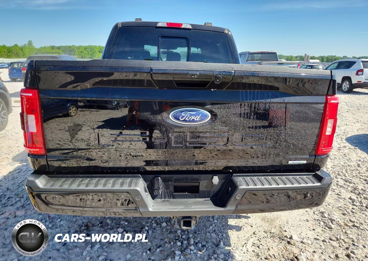 2023 Ford F150 Supercrew VIN:1FTEW1EP6PKE85548 - 6