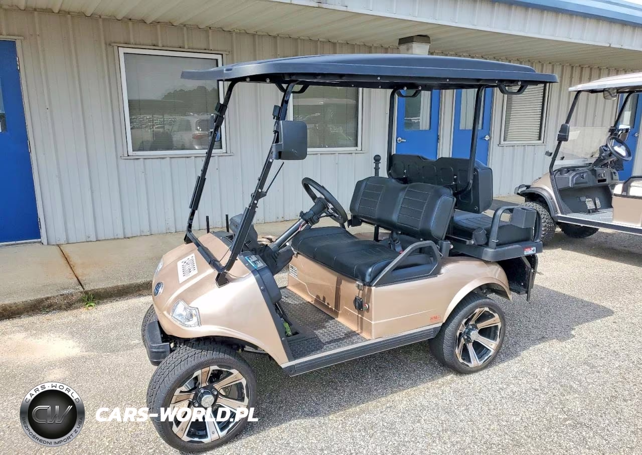 2022 Evolution Hdk Classic Golf Cart VIN:7MZL20820NC001095 - 2