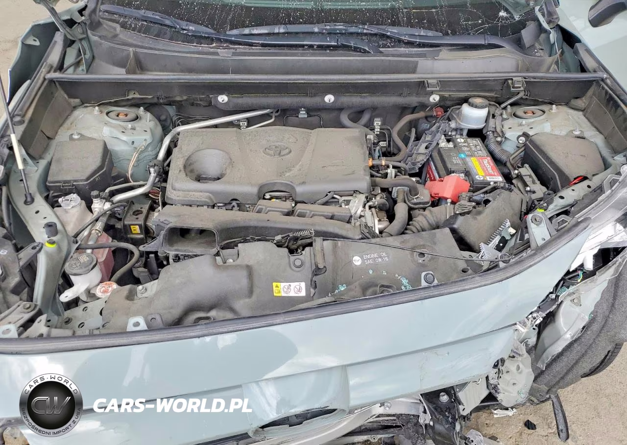 2019 Toyota Rav4 Xle VIN:JTMW1RFV8KJ011677 - 12
