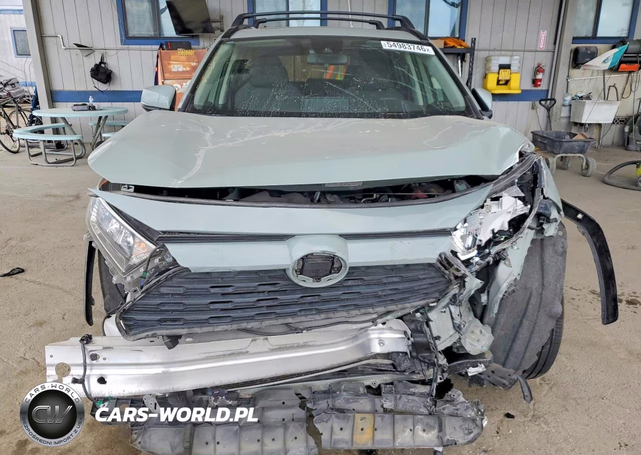2019 Toyota Rav4 Xle VIN:JTMW1RFV8KJ011677 - 5