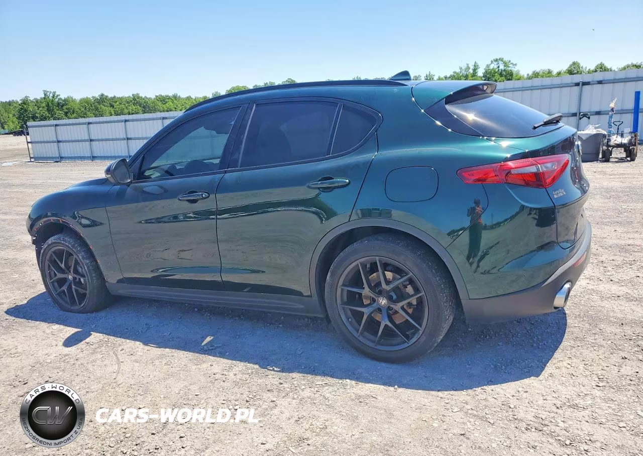 2021 Alfa Romeo Stelvio Sport VIN:ZASPAJAN9M7D11264 - 2