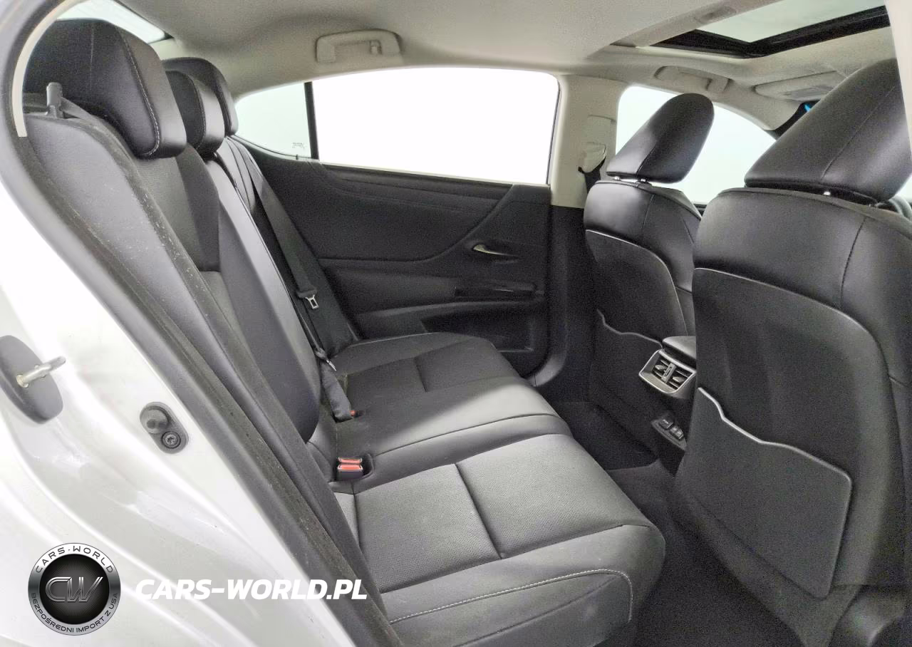 2024 Lexus Es 300H Base VIN:58ADA1C11RU052451 - 10