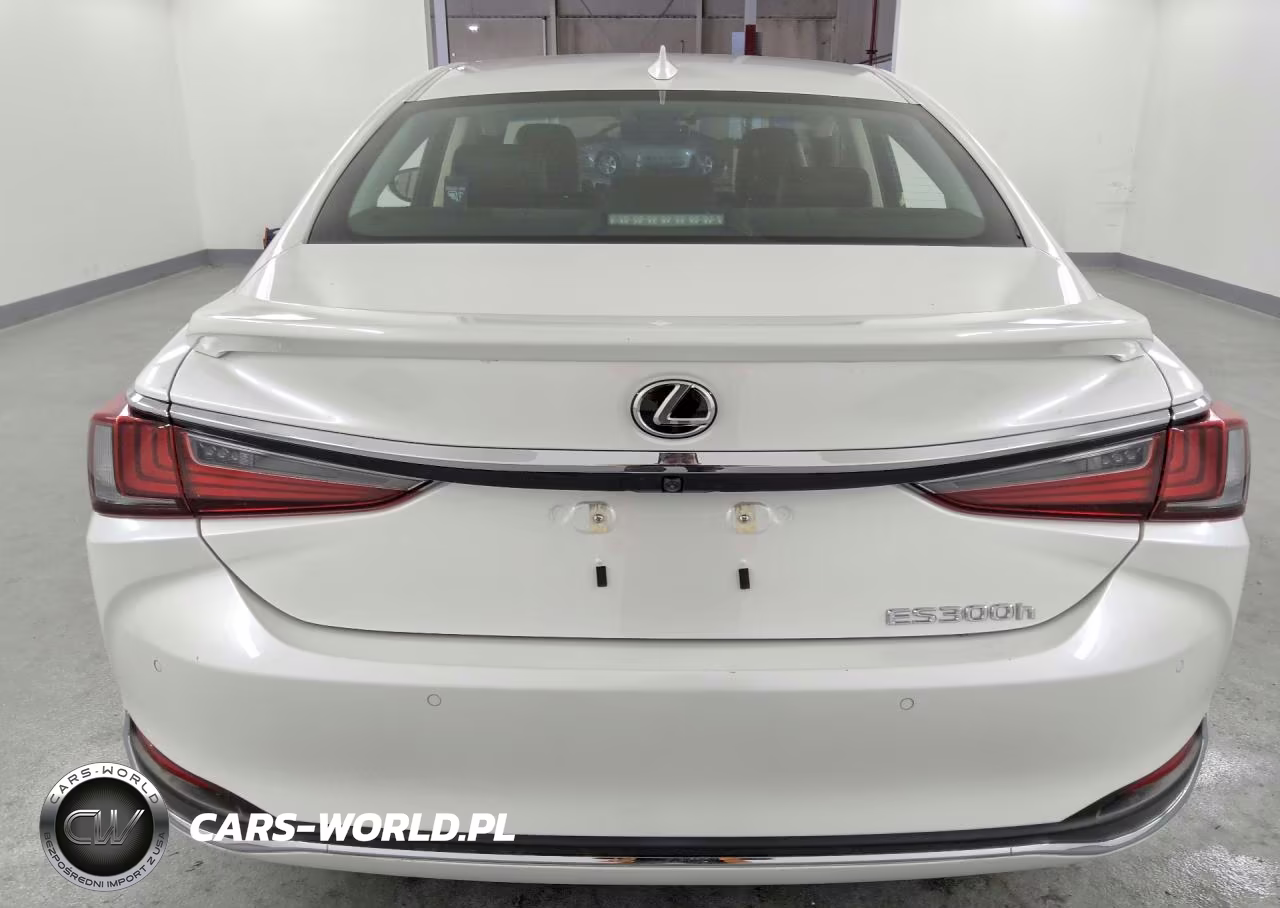 2024 Lexus Es 300H Base VIN:58ADA1C11RU052451 - 6
