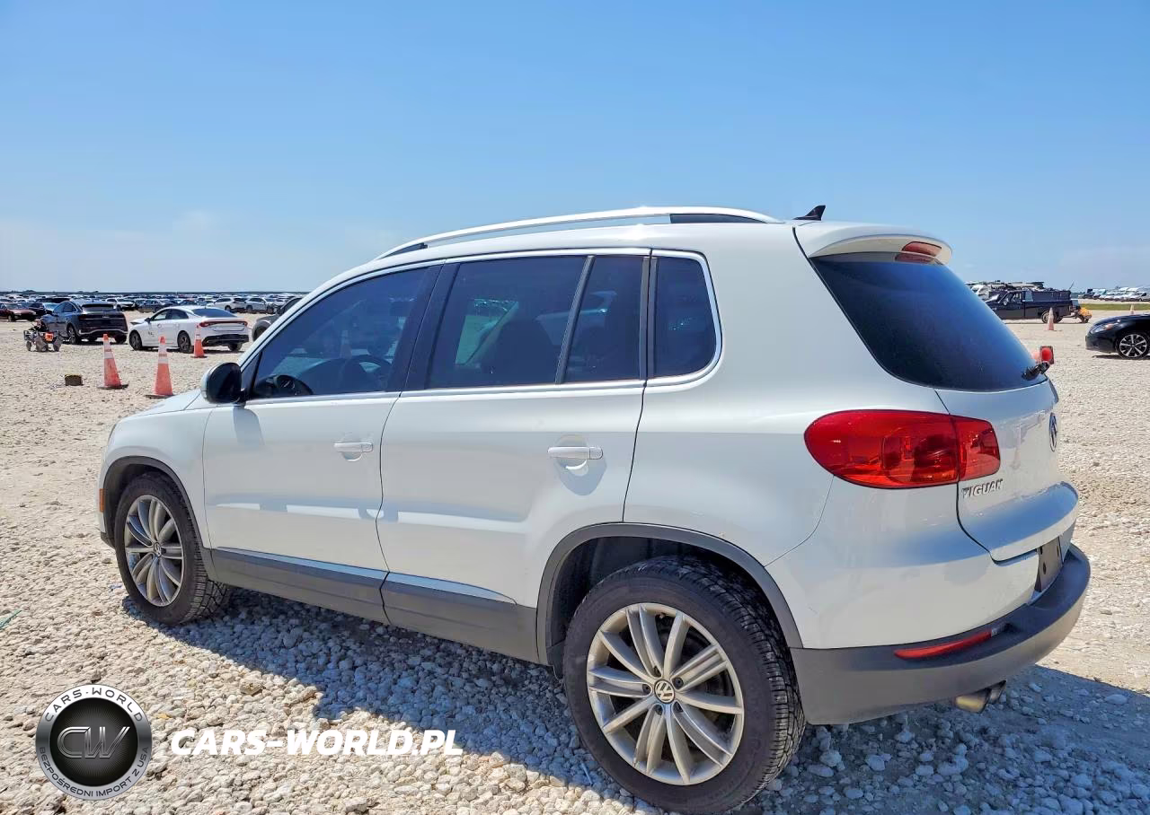 2015 Volkswagen Tiguan S VIN:WVGAV7AX8FW604603 - 2