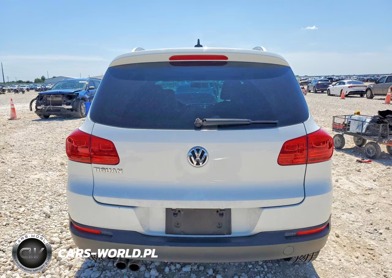2015 Volkswagen Tiguan S VIN:WVGAV7AX8FW604603 - 6