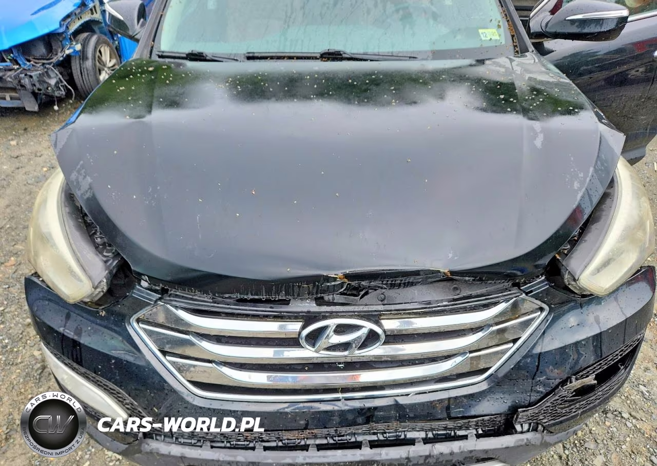 2013 Hyundai Santa Fe Sport 2.0T VIN:5XYZW3LA7DG059929 - 12