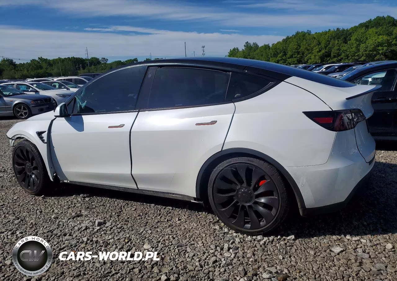 2022 Tesla Model Y VIN:7SAYGDEF3NF461059 - 2