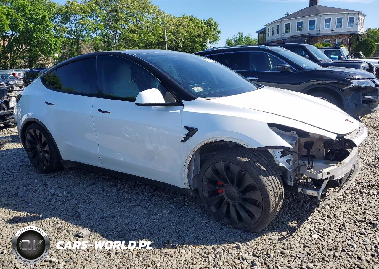 2022 Tesla Model Y VIN:7SAYGDEF3NF461059 - 4